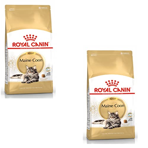 Royal Canin Maine Coon Adult | Paquete Doble | 2 x 400 g | Pienso seco | Adaptado a Las Necesidades de los Gatos Maine Coon | para Las articulaciones y los Huesos
